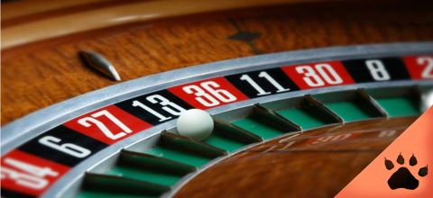How to Play American Roulette: Complete Guide | LeoVegas