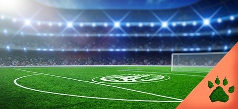 How to Bet on Footbal: Guide for Beginners | LeoVegas Betting