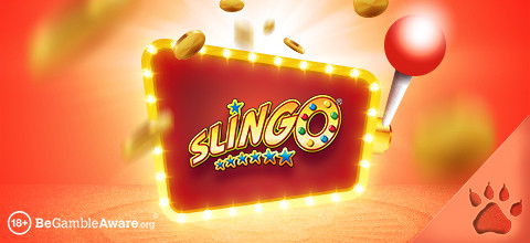 What Is Slingo? | A Beginner’s Guide to Slingo | LeoVegas