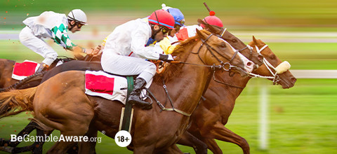 See the major international horse racing events | LeoVegas Sports