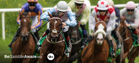 Irish Derby Festival Betting Guide - Curragh Horse Race | LeoVegas