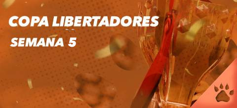 Copa Libertadores - Cuotas de apuesta fecha 5 fase de grupo