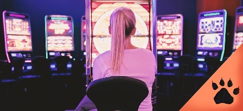 The Ultimate Guide to Winning at Slots | LeoVegas