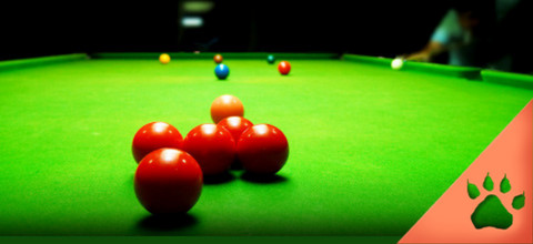 Como Apostar em Sinuca - Snooker online a dinheiro real: Dicas