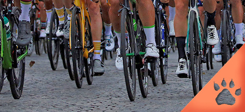 Cycling Betting Guide | LeoVegas Sports Blog 