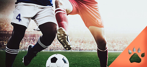 Over Under Betting in Sport - A Complete Guide