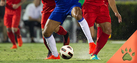 Confira os detalhes do jogo decisivo entre Venezuela x Canadá na Copa das Américas