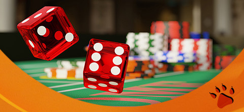 Crapless Craps: How to Play and Best Bets | LeoVegas