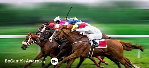 Punchestown Festival Betting Guide - How to Bet on the Races