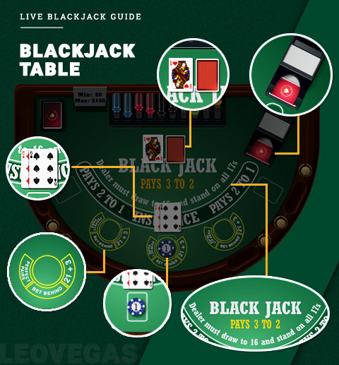 Blackjack Table Layout