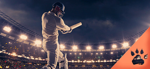 Cricket World Cup Betting Guide 2023 | LeoVegas NZ 