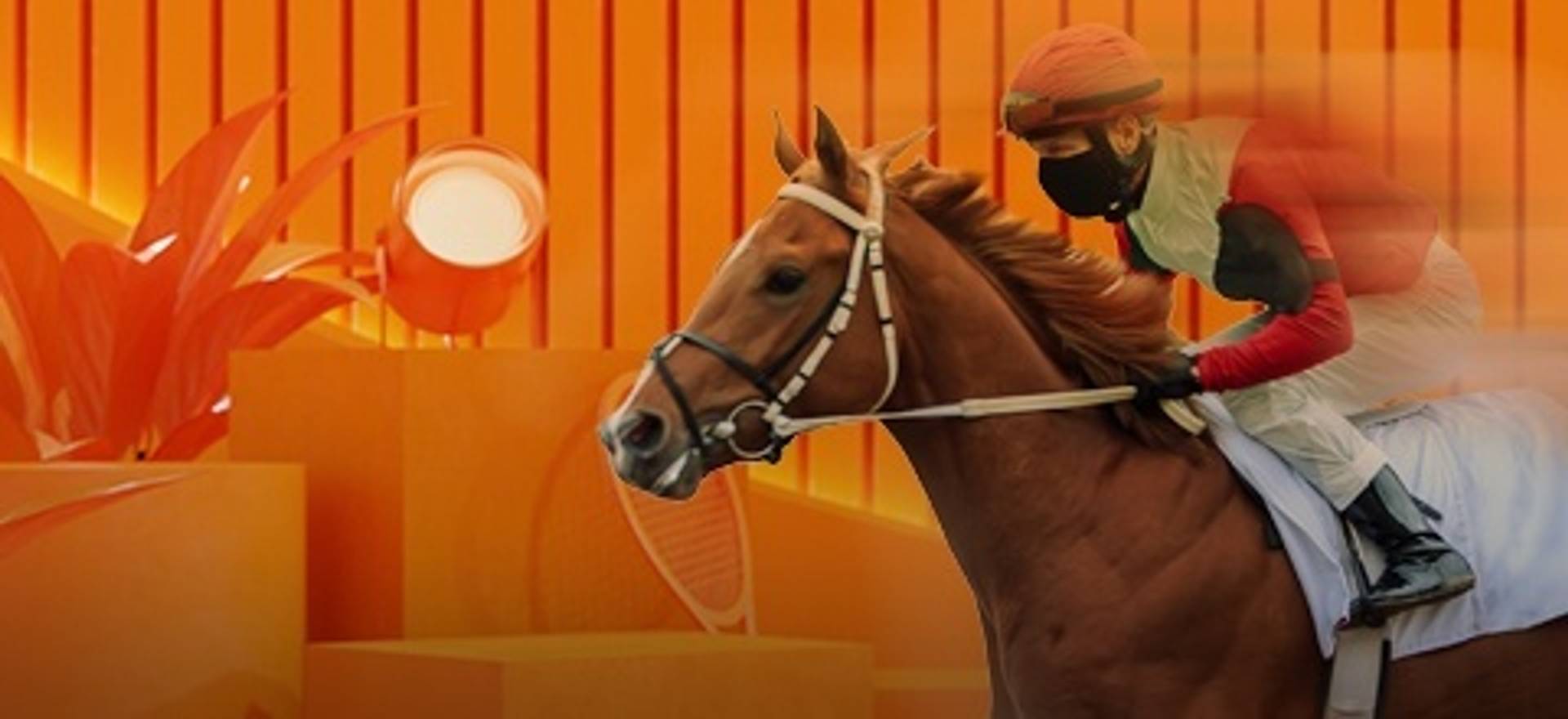 best racecourses in Ireland guide.jpg