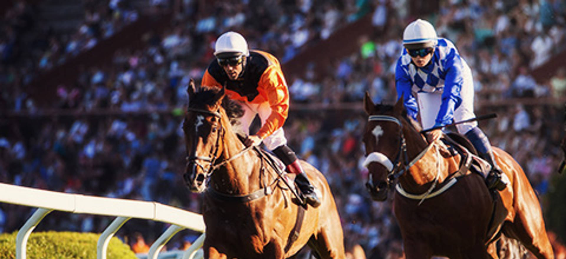 horse-racing-terms.jpg