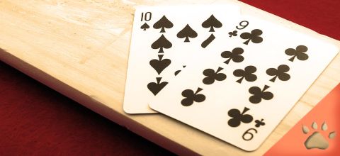 Cómo jugar al Baccarat - Guías de juego | LeoVegas Blog