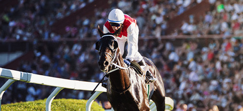 cheltenham-betting-tips.jpg