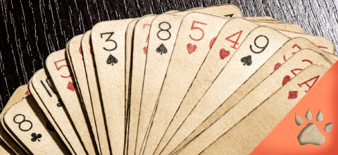 Blackjack Tournament: Rules, Tips, and Strategies | LeoVegas