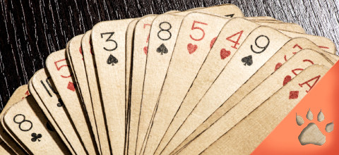 Splitting 8s in Blackjack : Complete Guide | LeoVegas