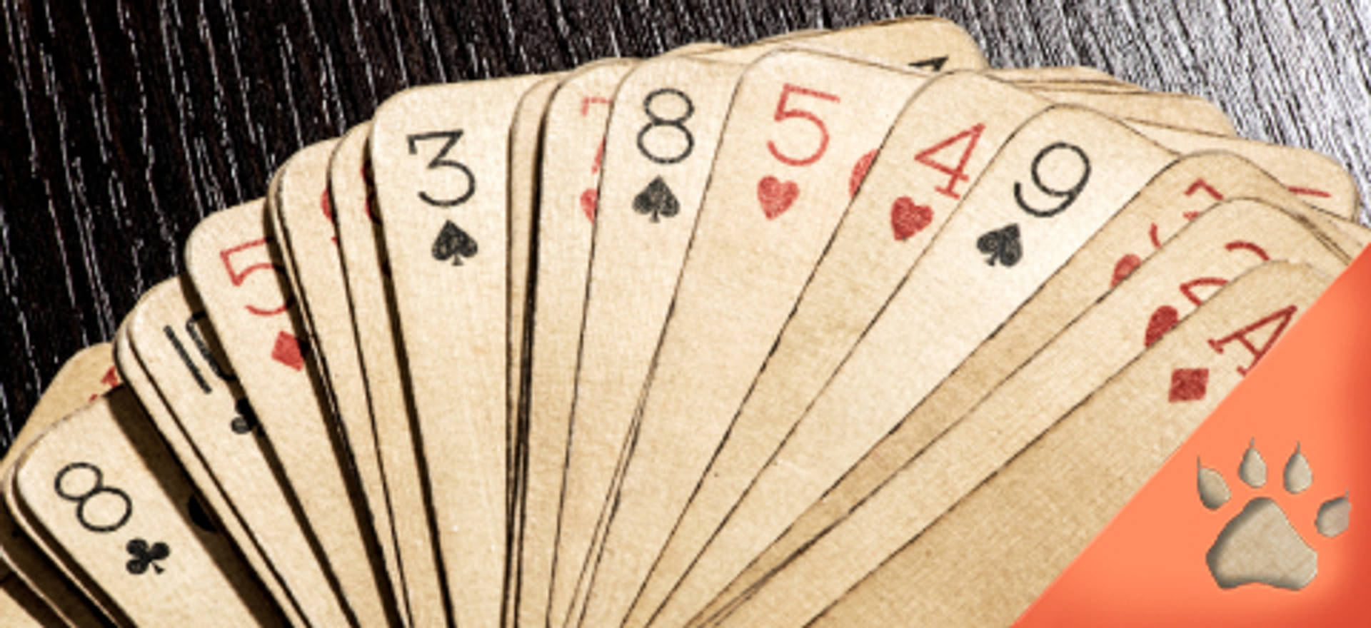 A fanned-out hand of playing cards with various numbers and suits visible.