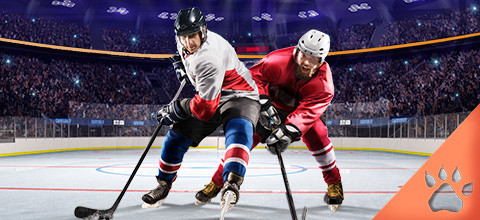 Guide des paris de la Ligue nationale de hockey (LNH) | LeoVegas