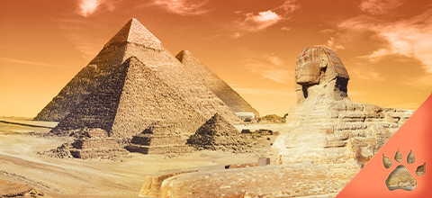 Best Egypt-Themed Slots at LeoVegas New Zealand