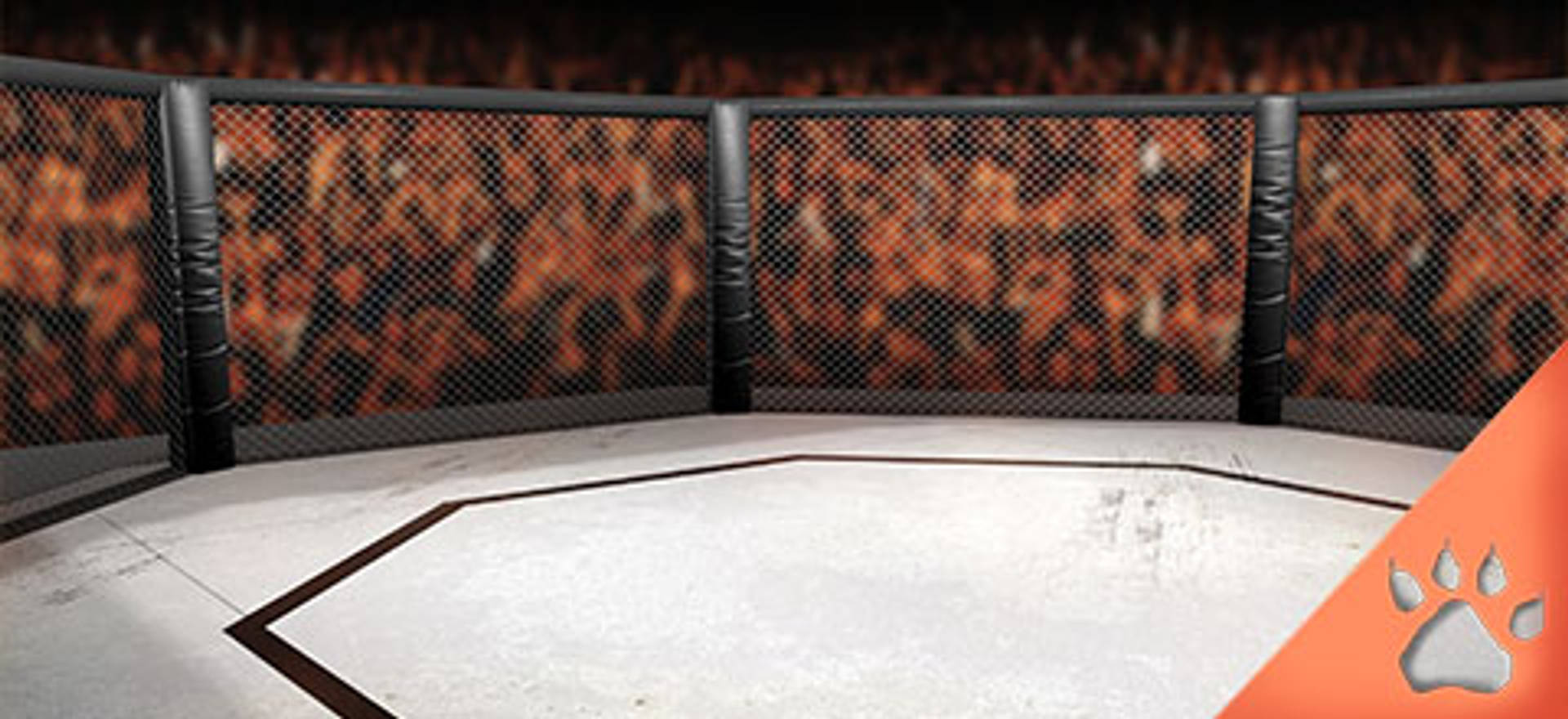 LV_blog_UFC_Betting_promo_480x220_ribbon_D87266_RA_072022.jpg