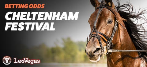 Cheltenham Betting Odds | LeoVegas | Horse Racing Betting