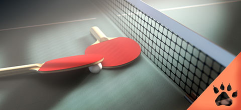 Como apostar em Tênis de Mesa | Ping Pong - Blog LeoVegas