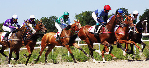 How to choose best jockeys to back - LeoVegas Sports