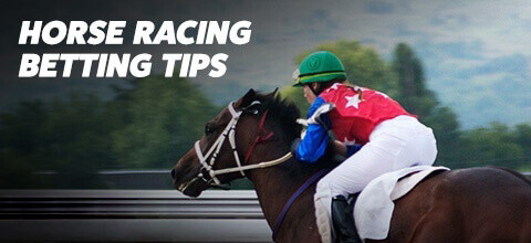 Horse Racing Betting Tips | LeoVegas New Zealand 