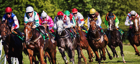 Royal Ascot Betting Guide - How to bet on Royal Ascot | LeoVegas