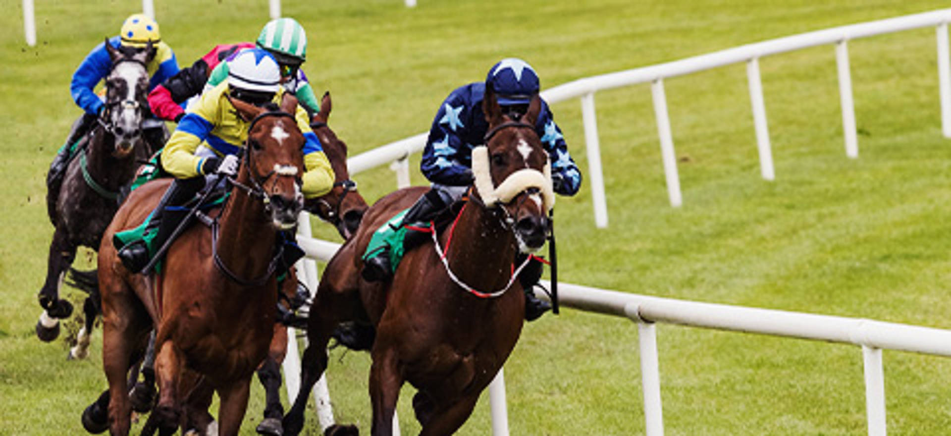 horse-racing-blog.jpg