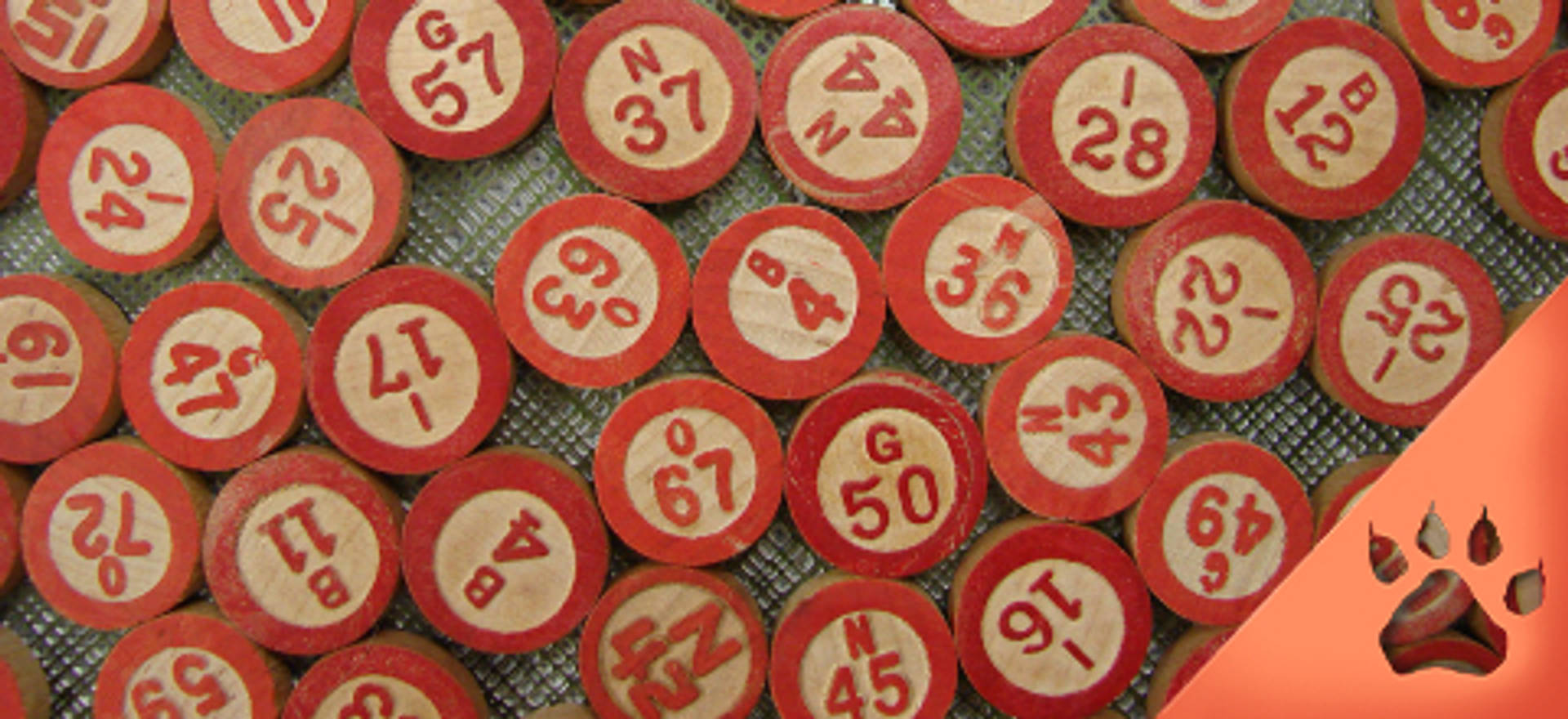 bingo-leovegas.jpg