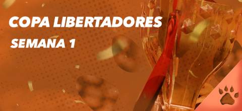 Pronósticos y apuestas - Semana 1 Copa Libertadores | LeoVegas