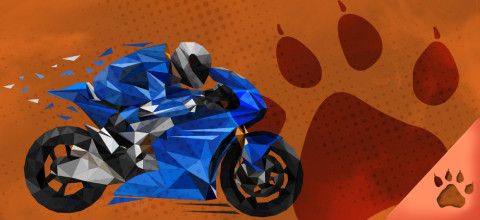 Motorsports betting guide - How to bet on MotoGP, Nascar & Rally