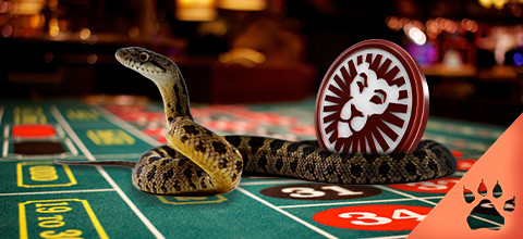 Roulette Snake Bet : Complete Guide | LeoVegas