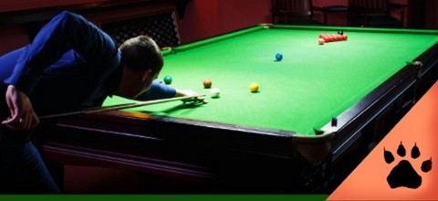 Snooker World Championship Betting Tips | LeoVegas