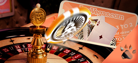 De 4 bedste live casino spil | LeoVegas