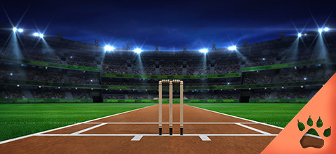 How to Bet on IPL : Complete Guide and Betting Tips
