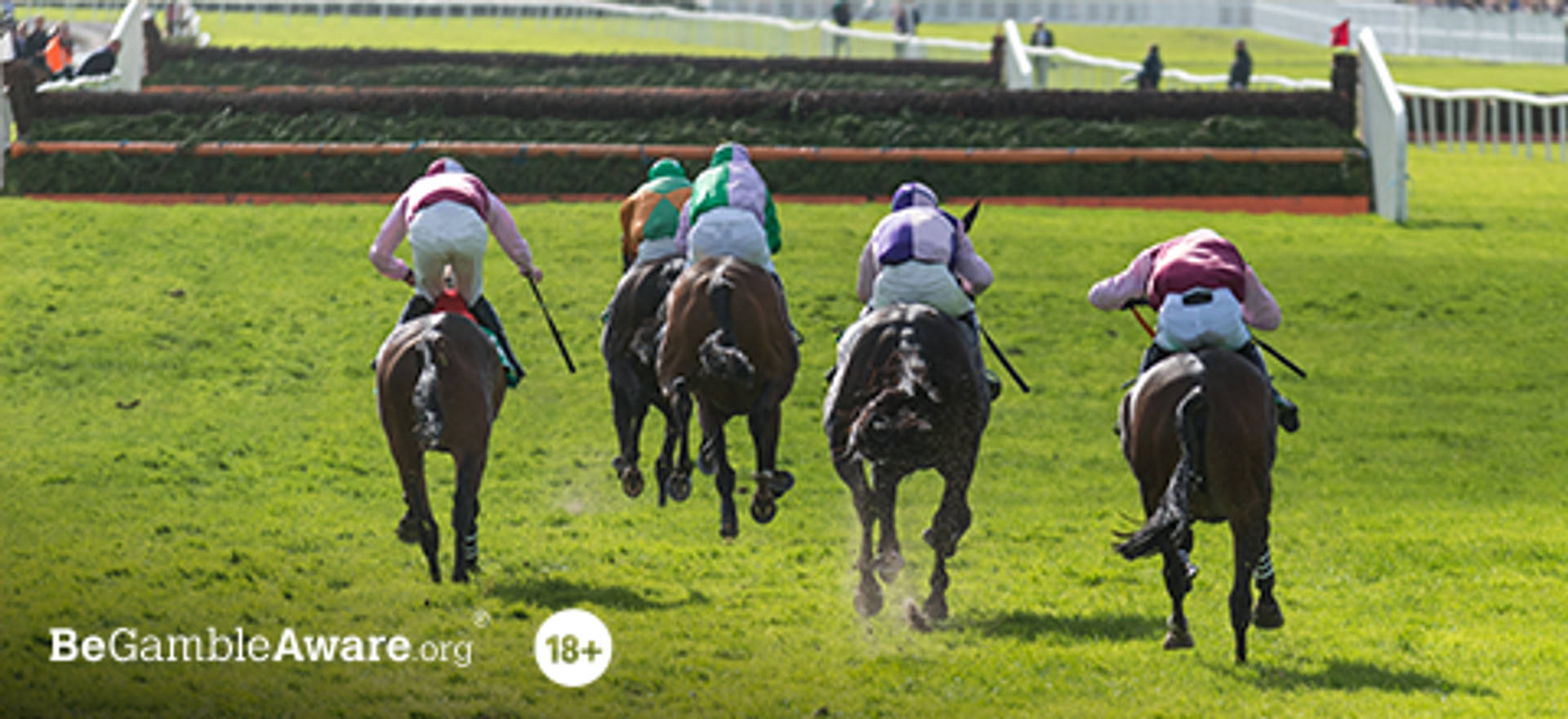 stayers-hurdle-betting-tips.png