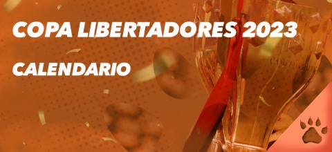 Calendario Copa Libertadores | LeoVegas Blog