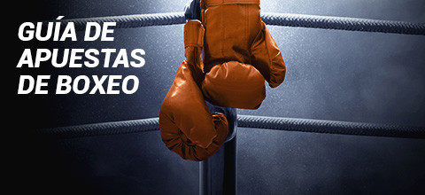 Cómo apostar en boxeo - todo lo que tienes que saber | LeoVegas