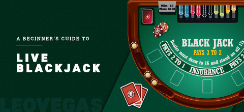 Blackjack Basic Strategy Beginners Guide | LeoVegas Blog