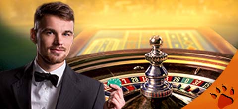 Play roulette with our online roulette tips | LeoVegas