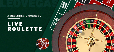 How to Play Roulette Online: A Beginner’s Guide | LeoVegas Casino