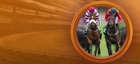 Spela på hästar - Odds och betting guide | LeoVegas