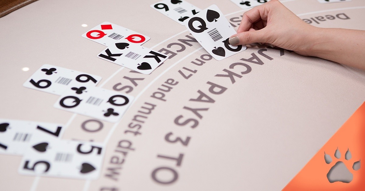 Reglas del Blackjack | Guía para principiantes en LeoVegas