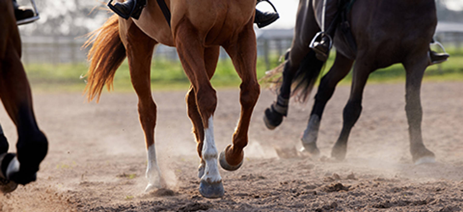 Close-up of horses running on a dirt track, showing legs and hooves kicking up dust.