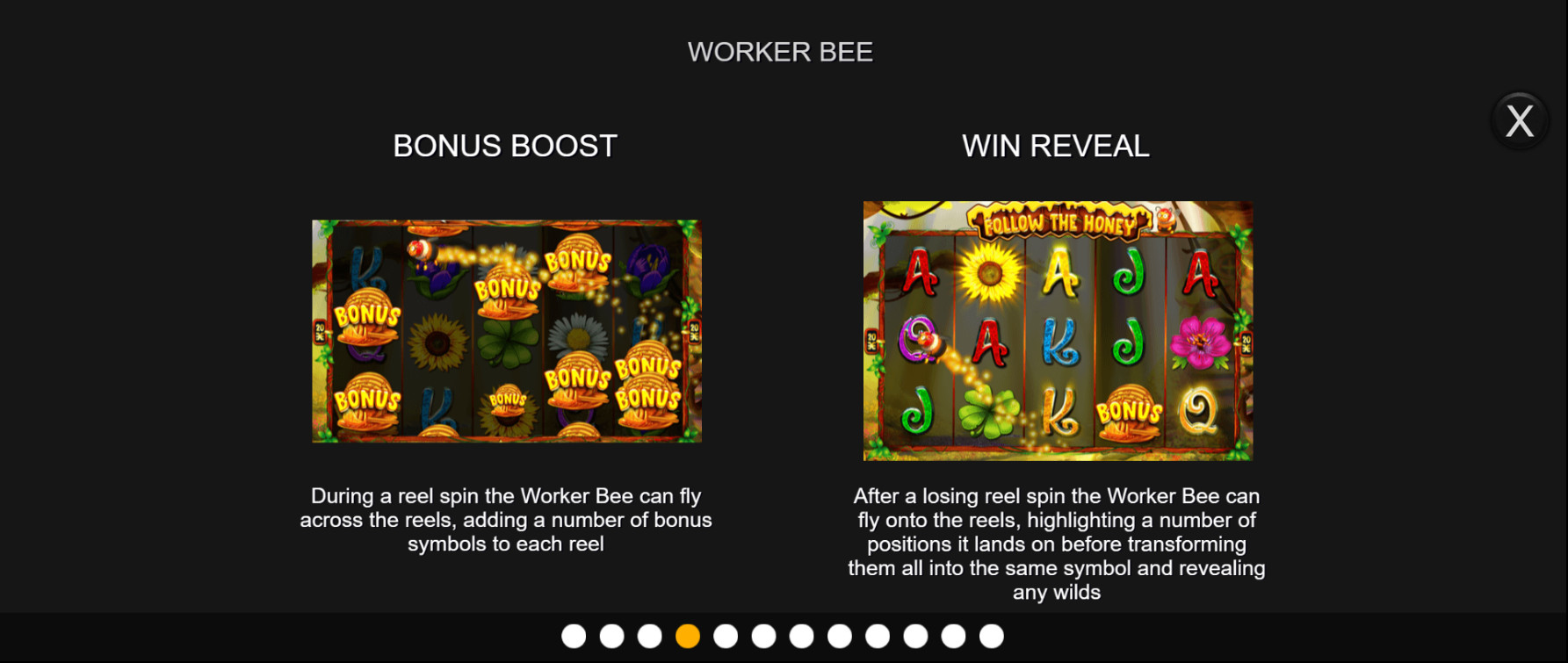 Follow the Honey - Worker Bee Bonus Feature