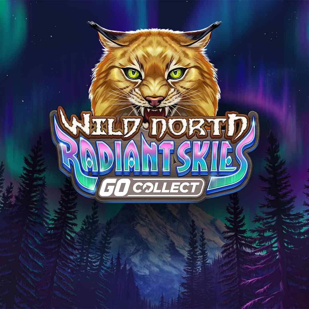 Wild North Radiant Skies Go Collect